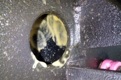 IMG_20190903_113147-min